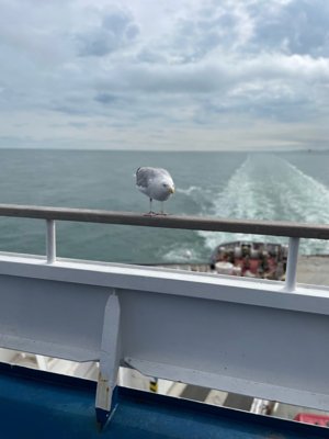 Reisefoto