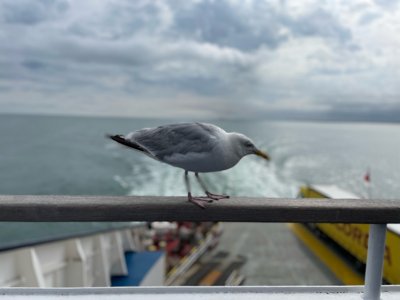 Reisefoto