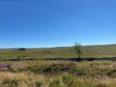 Reisefoto