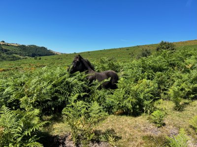 Reisefoto