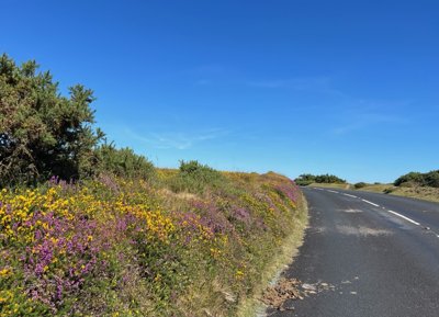 Reisefoto